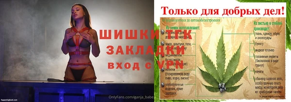 твердый Абаза