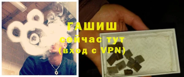 твердый Абаза