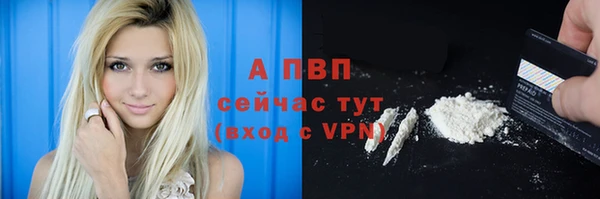 твердый Абаза