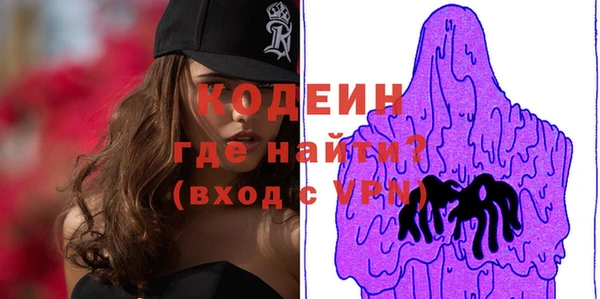 бошки Няндома