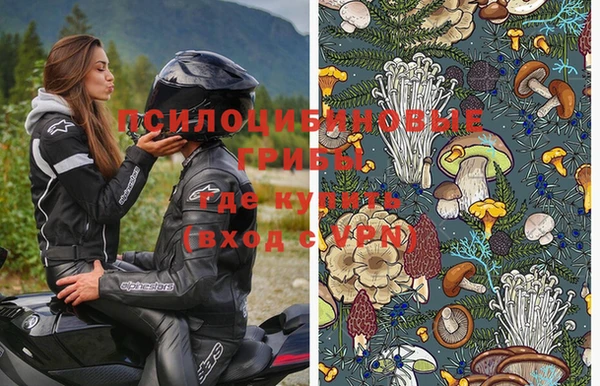 твердый Абаза