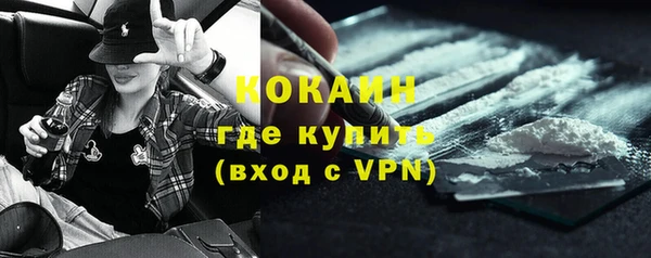 твердый Абаза